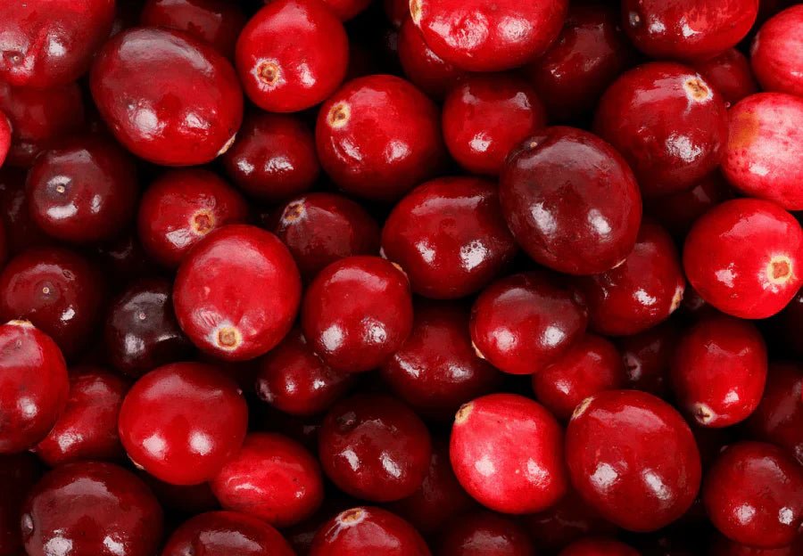 Tout ce qu'il faut savoir sur les antioxydants - Farmatuur