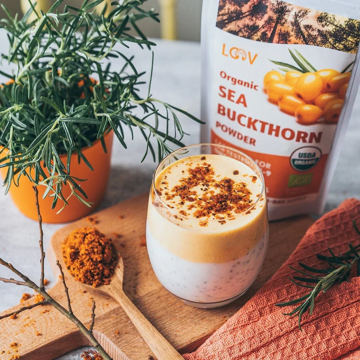Pudding de chia à la noix de coco et mousse d'argousier - Farmatuur