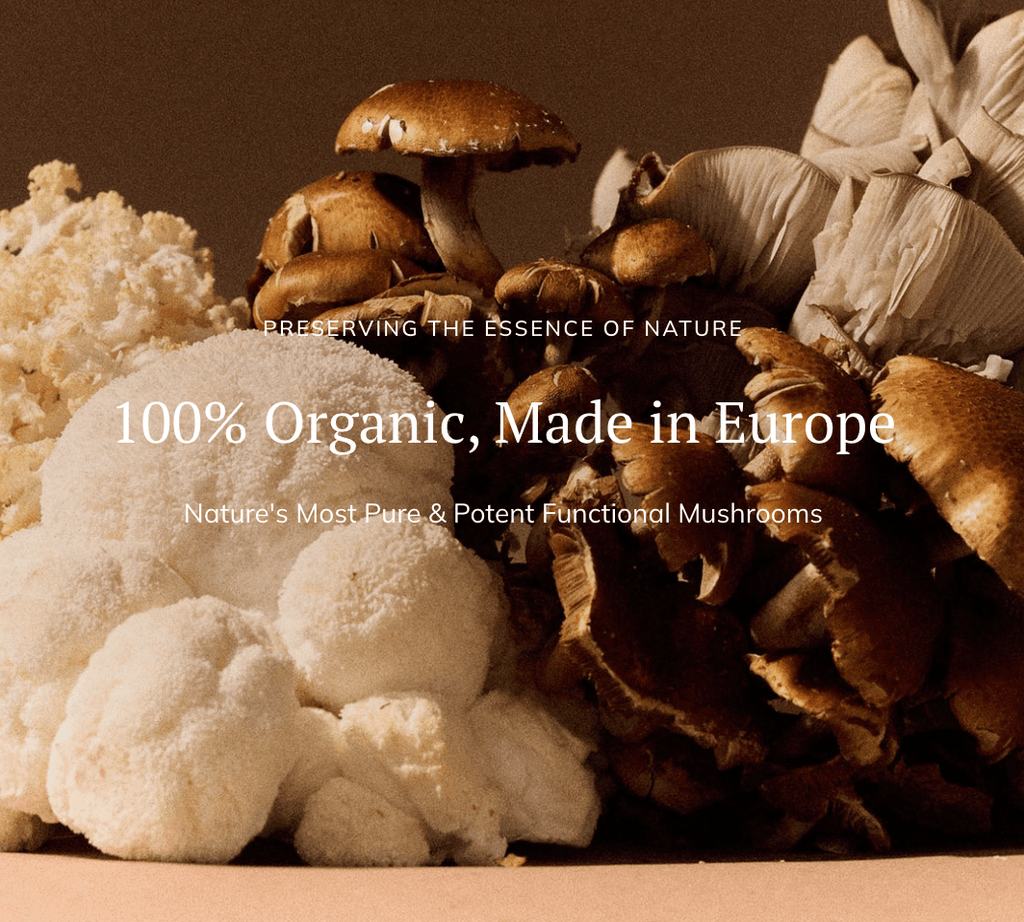 L'AVENIR EST AUX CHAMPIGNONS - Farmatuur
