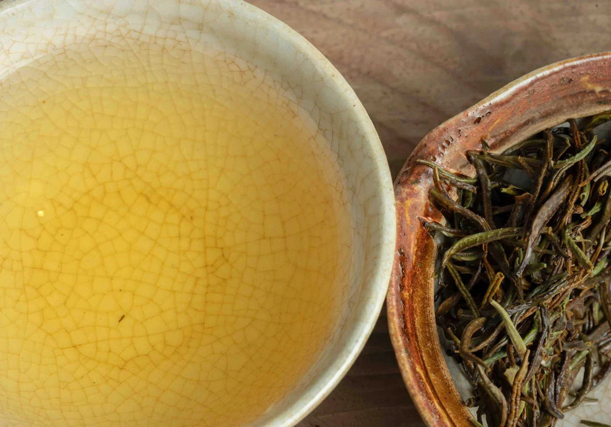 White Tea, Nature's Most Delicate Expression - Farmatuur