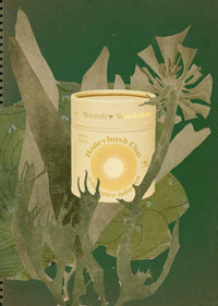 Honeybush Chai - infusion aux épices sauvages - Farmatuur