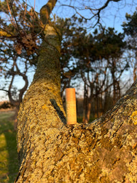 Baume à lèvres naturel - Vert - Farmatuur