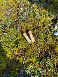 Baume à lèvres naturel - Vert - Farmatuur