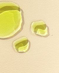 Green Machine - Bold Flavour. High Phenols. Everyday Heart Care.