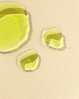 Yellow Mellow Extra Virgin Olive Oil