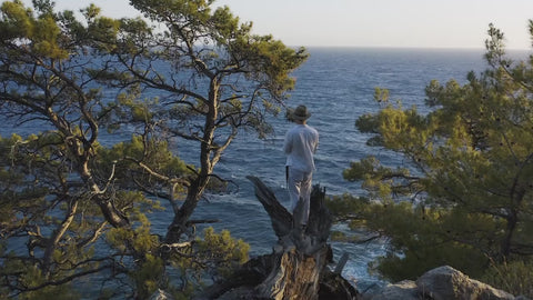 A man overlooking the Mediterranean Sea between pine trees at sunset