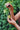 SUNNY HUILE VISAGE - Farmatuur