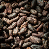 Fèves de cacao non torréfiées - Farmatuur
