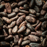 Fèves de cacao non torréfiées - Farmatuur